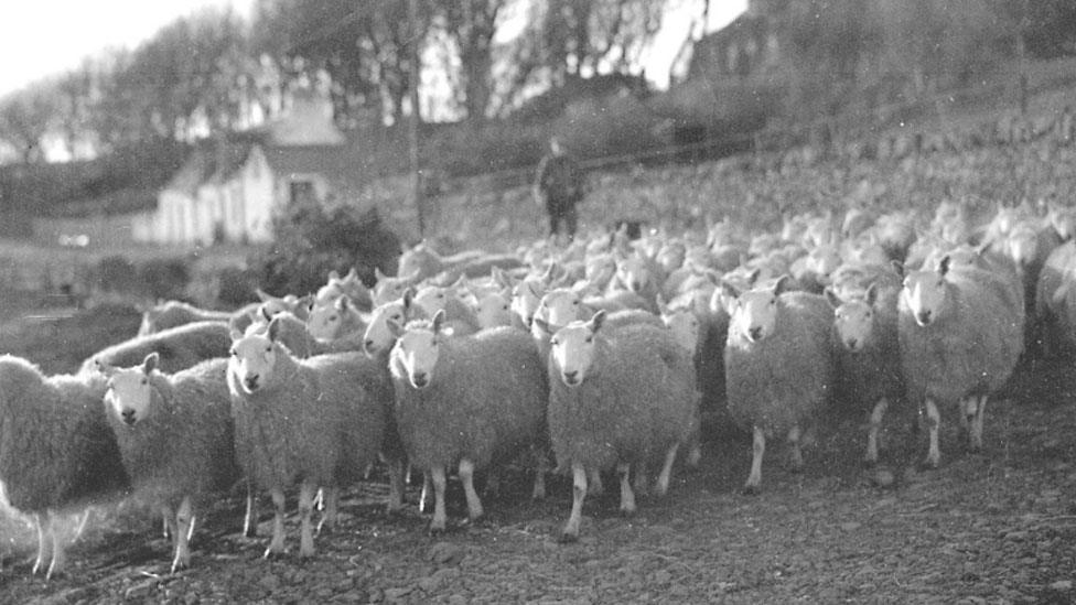 Margaret Fay Shaw photograph