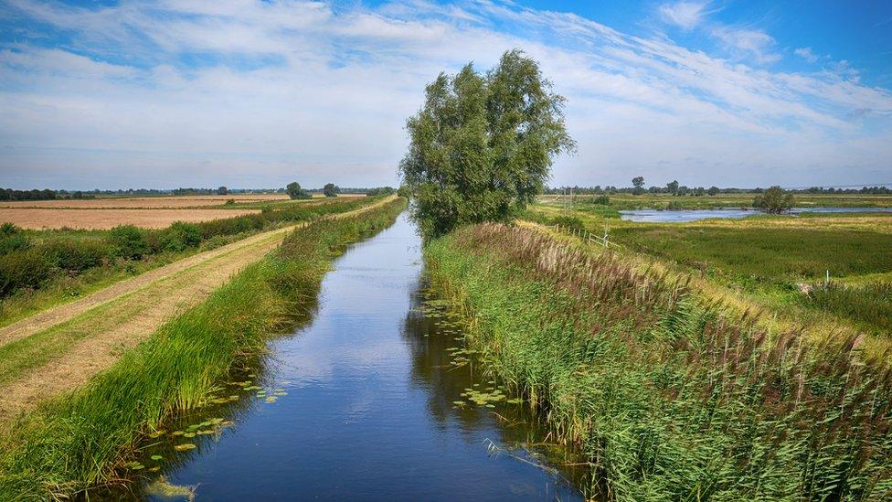 Fens in Cambridgeshire