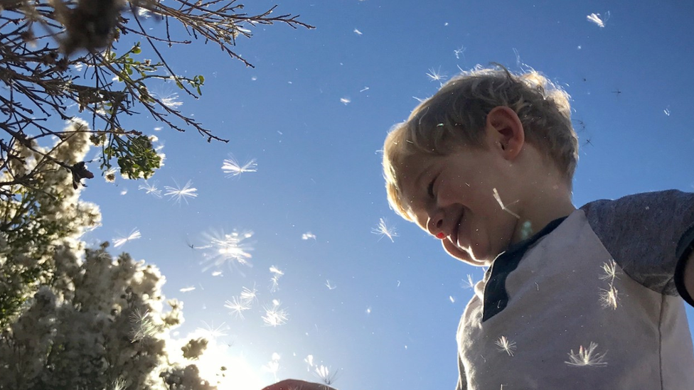 boy-with-flowers