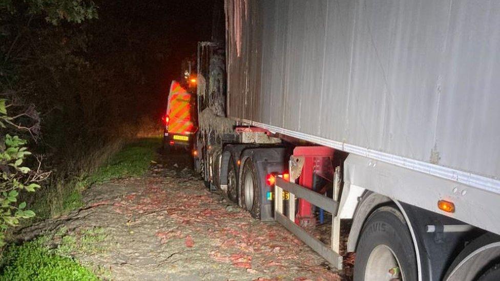 A lorry shed its load of offal on the A5