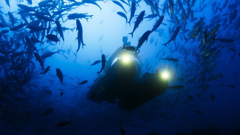 A special submersible starts its dive