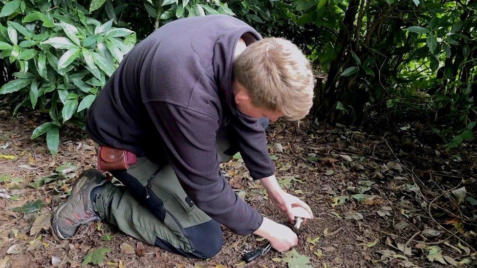 Jordan McKeating foraging