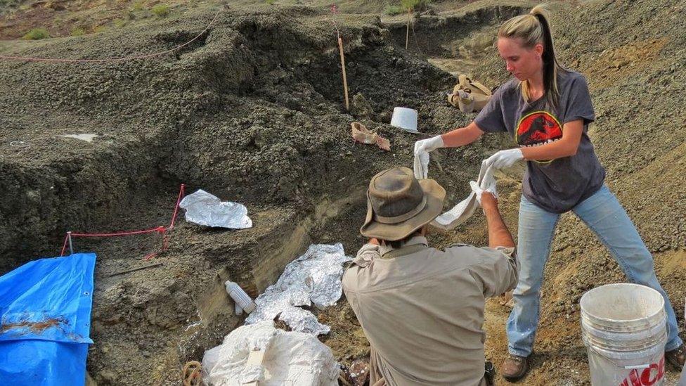 Robert DePalma(L)and field assistant Kylie Ruble(R) excavate fossil