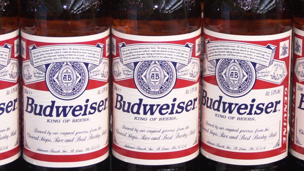 Bottles of Budweiser