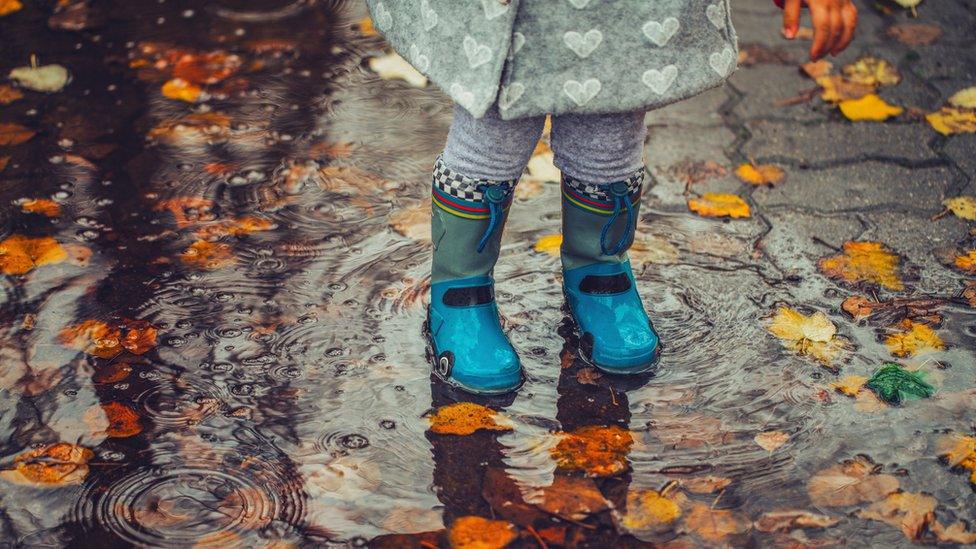 Welly boots in a puddle with autumn leaves