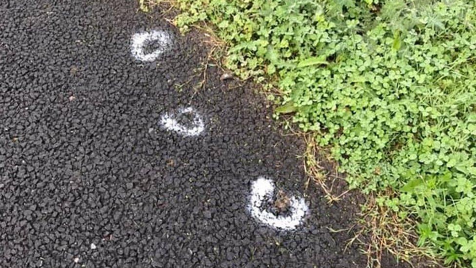 Dog poo on Steam Coast Trail