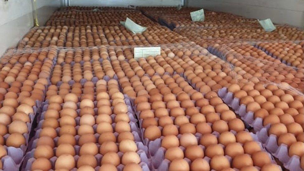 Hundreds of eggs in boxes