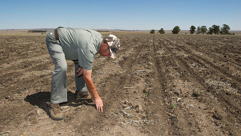 Manie van Rooy at his farm on November 6, 2015 near Frankfort, South Africa.