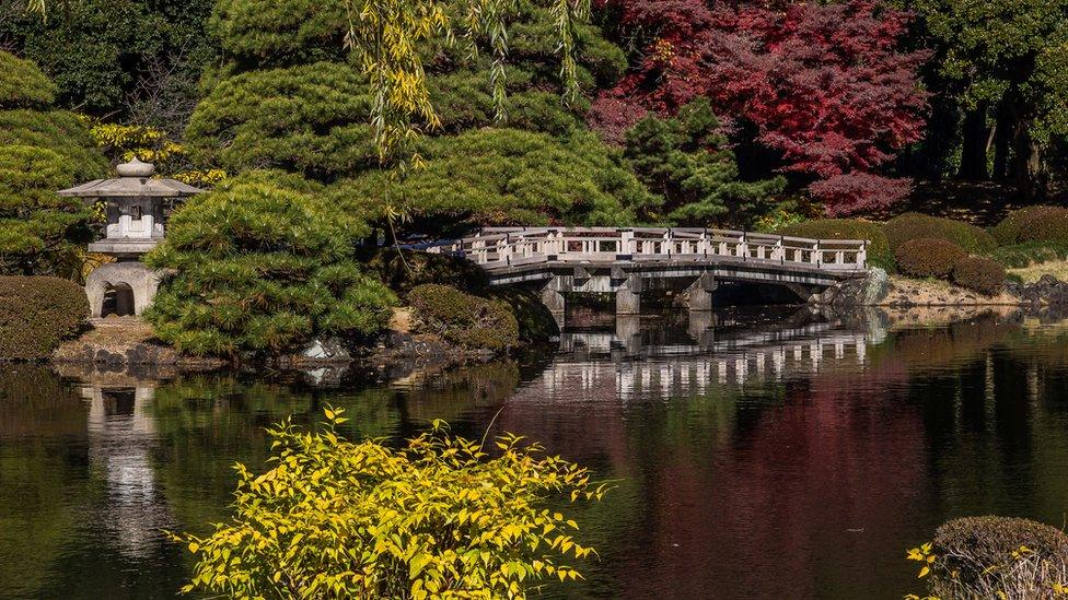 Image of Shinjuku Gyoen National Garden