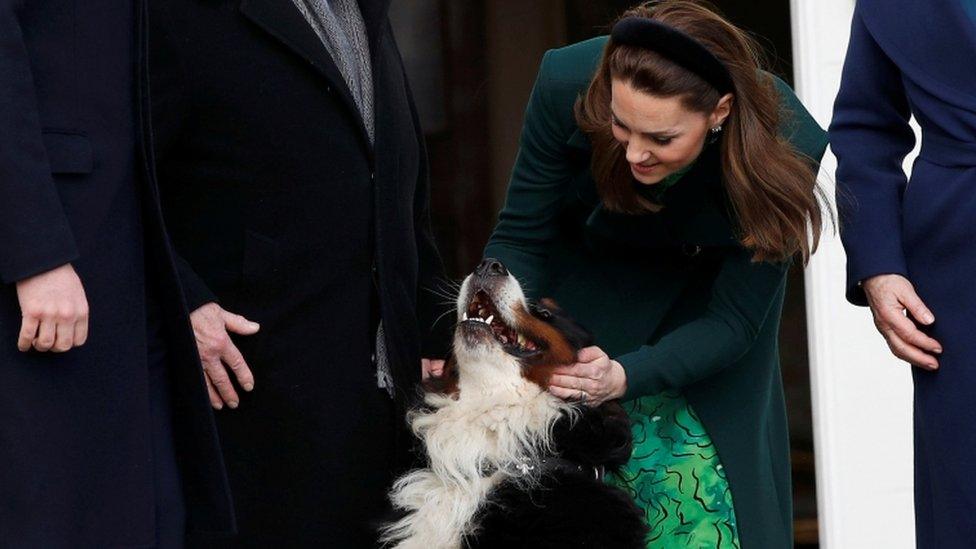 Duke and Duchess of Cambridge