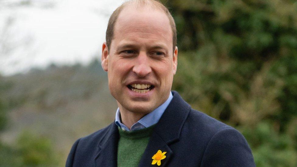 Prince william wearing a Welsh daffodil