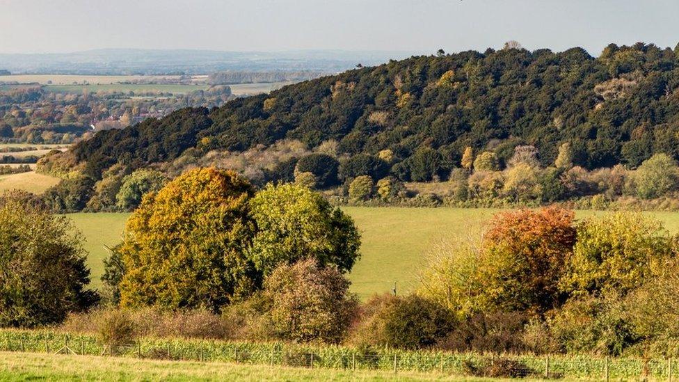 Watlington Hill estate, Oxfordshire