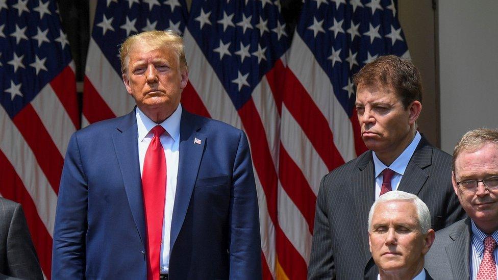 President Trump and Thomas J Philipson, chair of White House council of economic advisers (top right) with (bottom right) Vice-President Mike Pence and economic advisor Kevin Hassett, White House Rose Garden, 5 June 2020