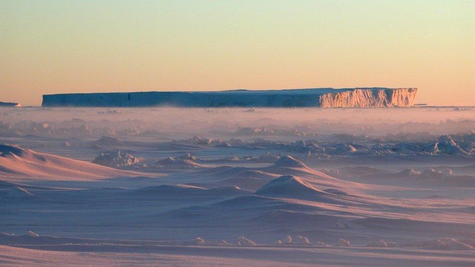 Tabular iceberg off Pine Island Glacier