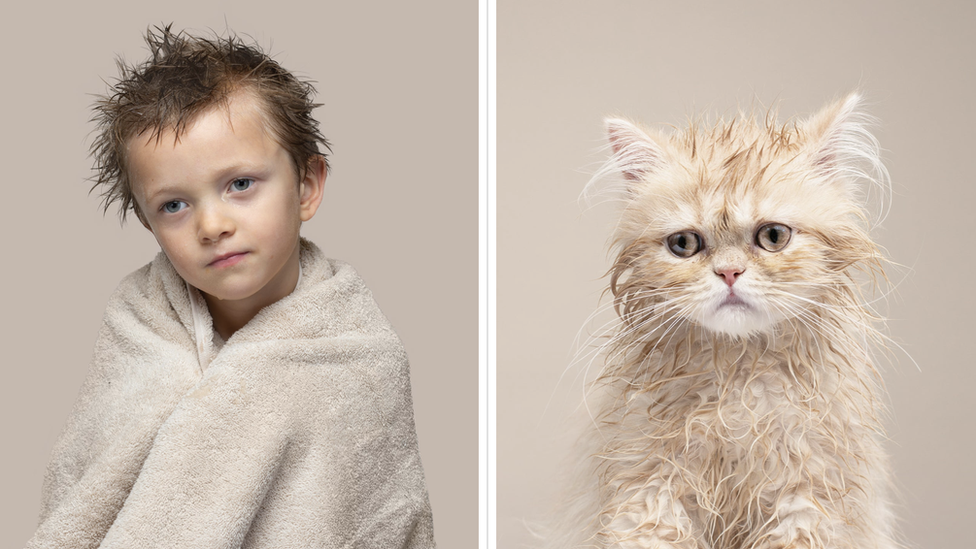 Arlo and Buttercup (Cream Persian).