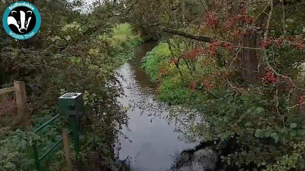 The other side of the River Swarbourn which is green and full of trees