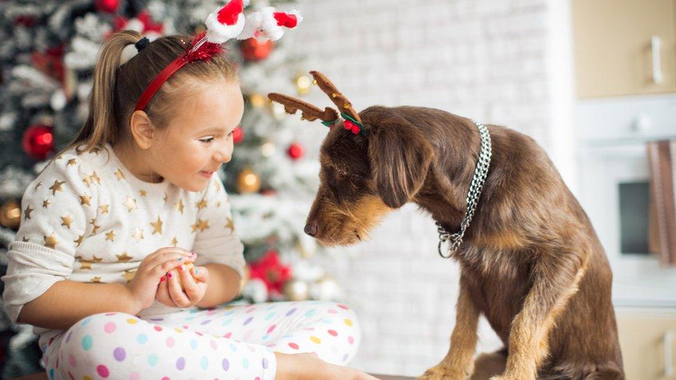 girl-pyjamas-christmas-boppers-with-dog.