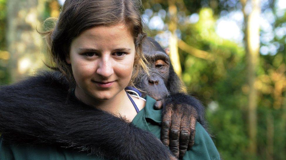 Conservationist and chimpanzee