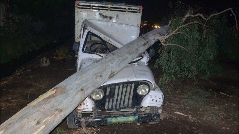 This photo taken on May 2, 2018 shows a tree that fell in high wind during a storm onto a vehicle in India's northern Uttar Pradesh state