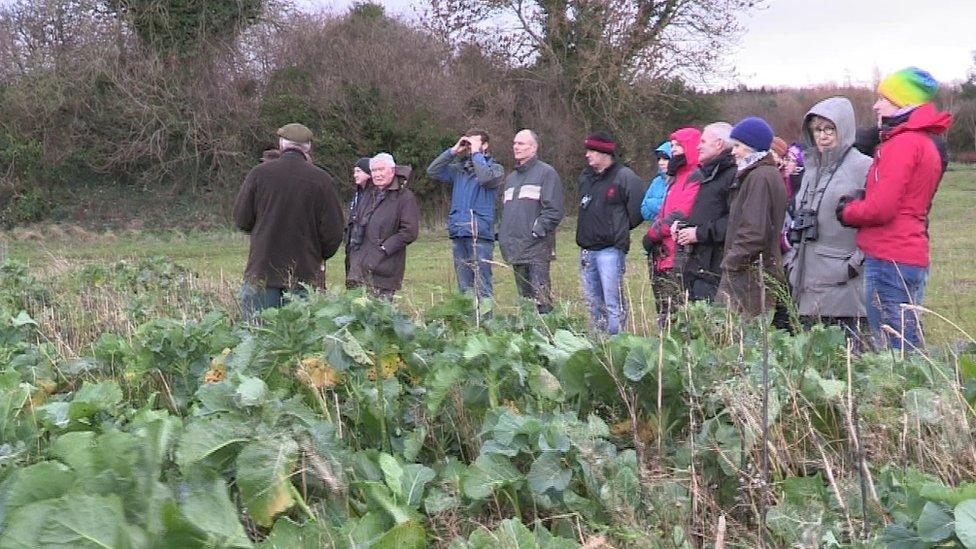 The farmer is hosting training for other farmers and environmentalists participating in the first survey of farmland birds in Northern Ireland