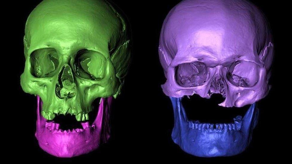 Visualisation of skulls found at Portmahomack