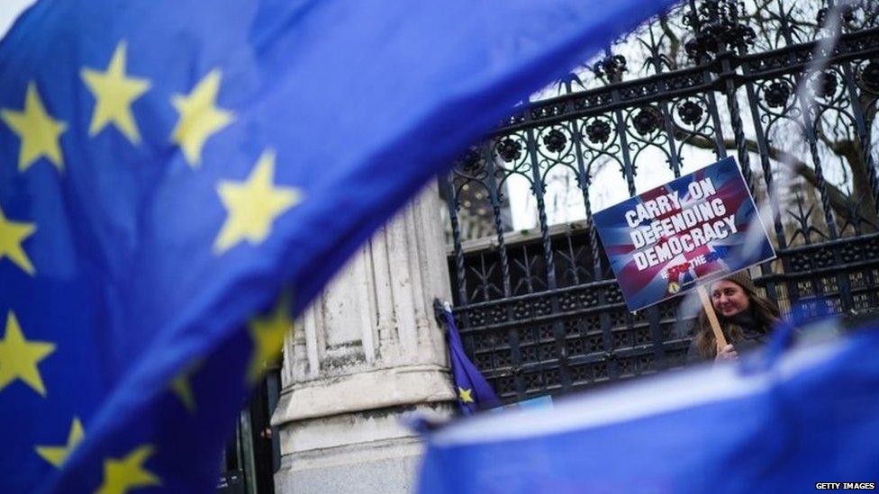 Anti-Brexit protester outside Parliament