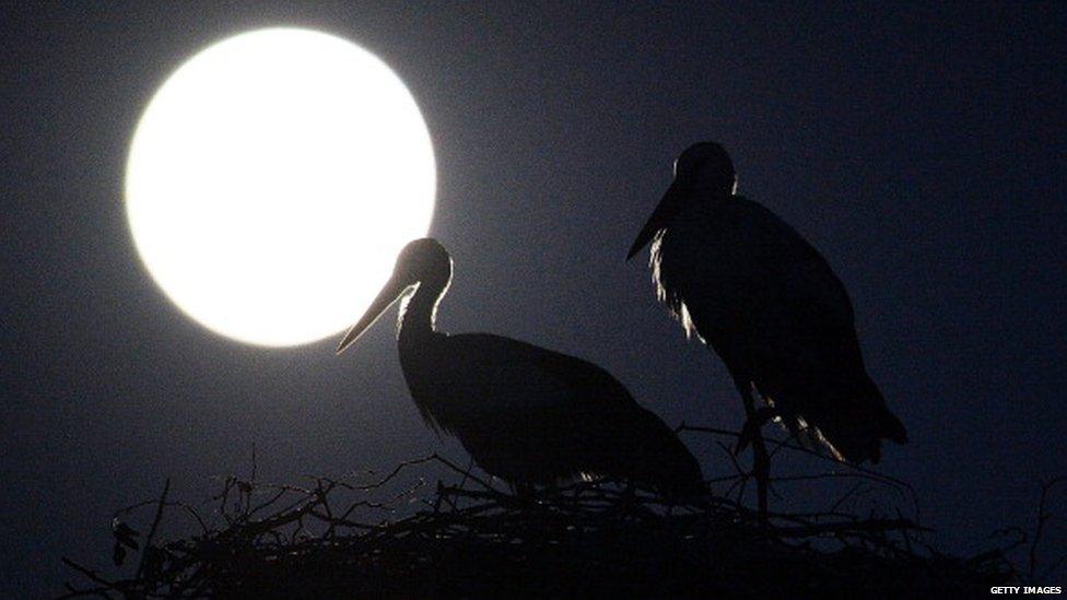 The moon will be full but it's unlikely to be blue