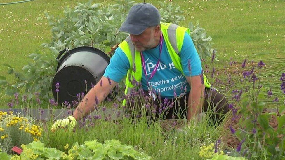 Man on knees planting plants