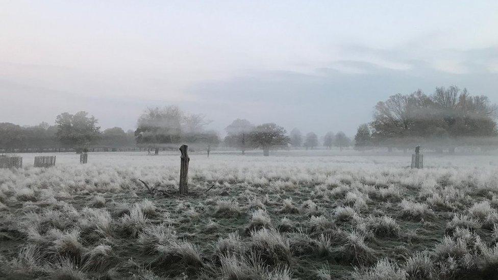 Hampton Court