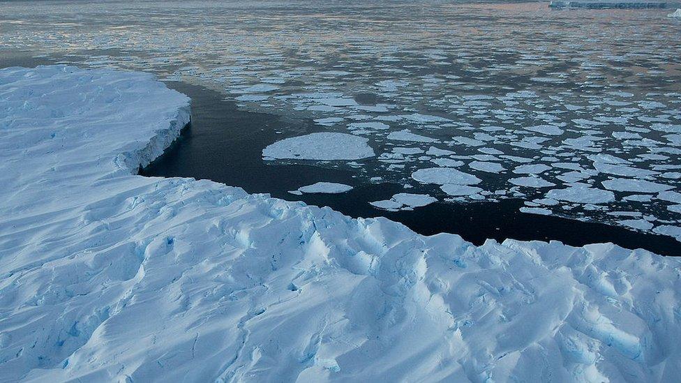 ice-melting-Antarctica.