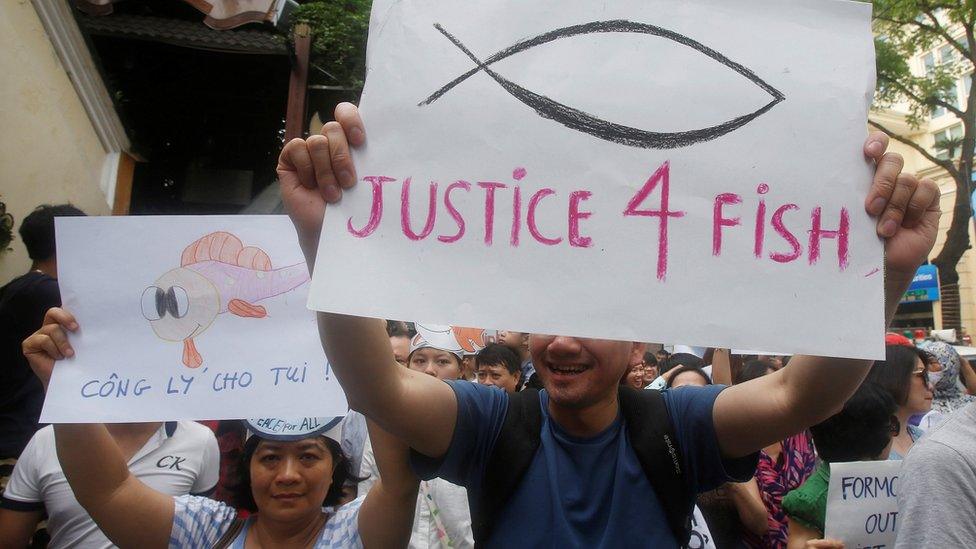 Demonstrators, holding signs, say they are demanding cleaner waters in the central regions after mass fish deaths in recent weeks, in Hanoi, Vietnam May 1, 2016