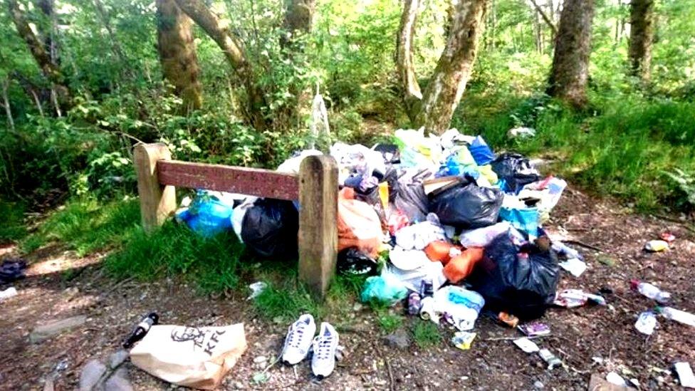 Litter at Loch Lomond and the Trossachs National Park