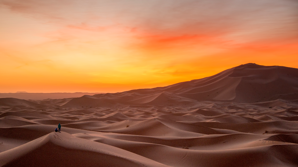 Sand dunes in the Sahara desert