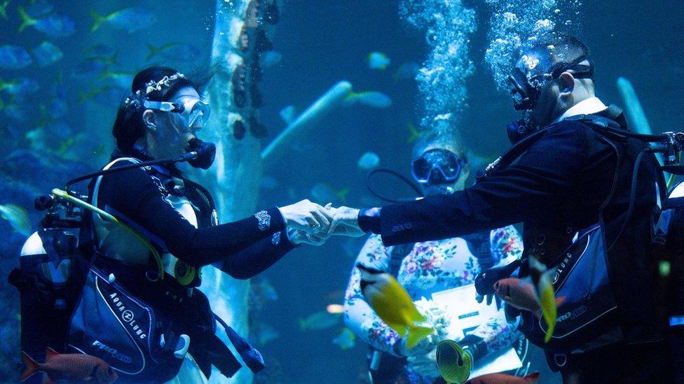 Underwater wedding