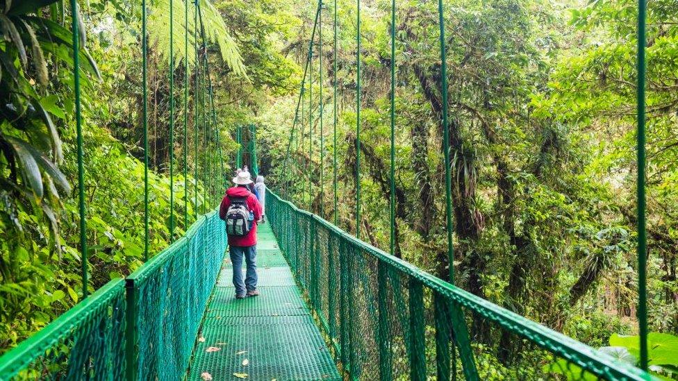 Selvatura Treetop hanging bridges, Monteverde Cloud Forest Reserve, Puntarenas, Costa Rica, Central America.