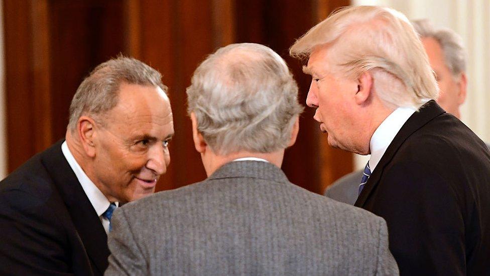 Chuck Schumer talks to Donald Trump