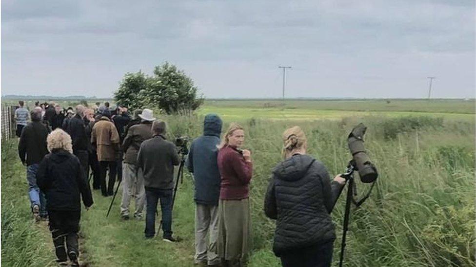 Birdwatchers seeing the birds