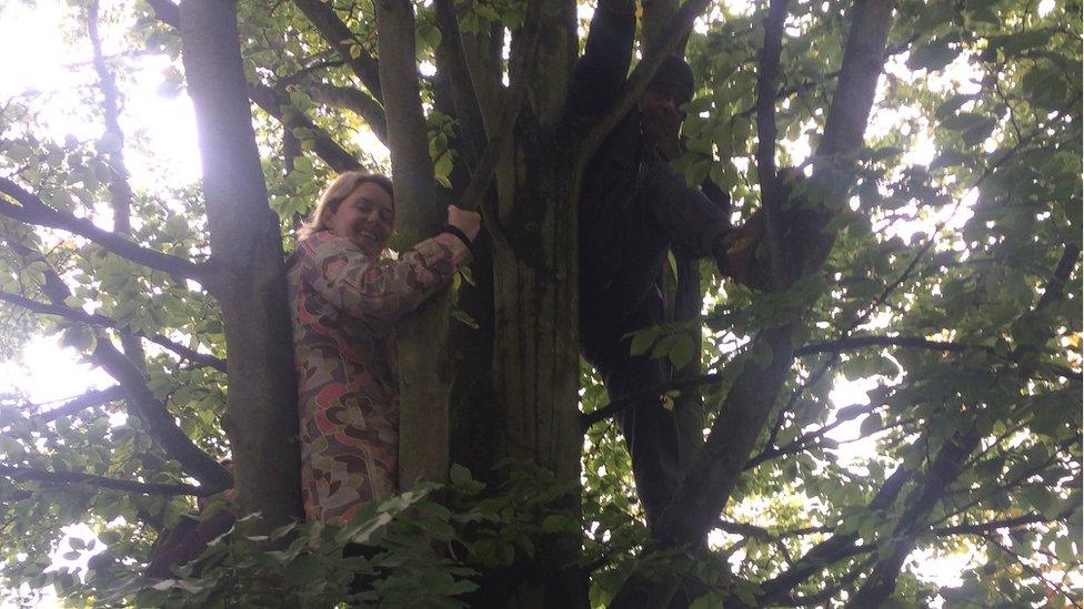 Protesters in tree