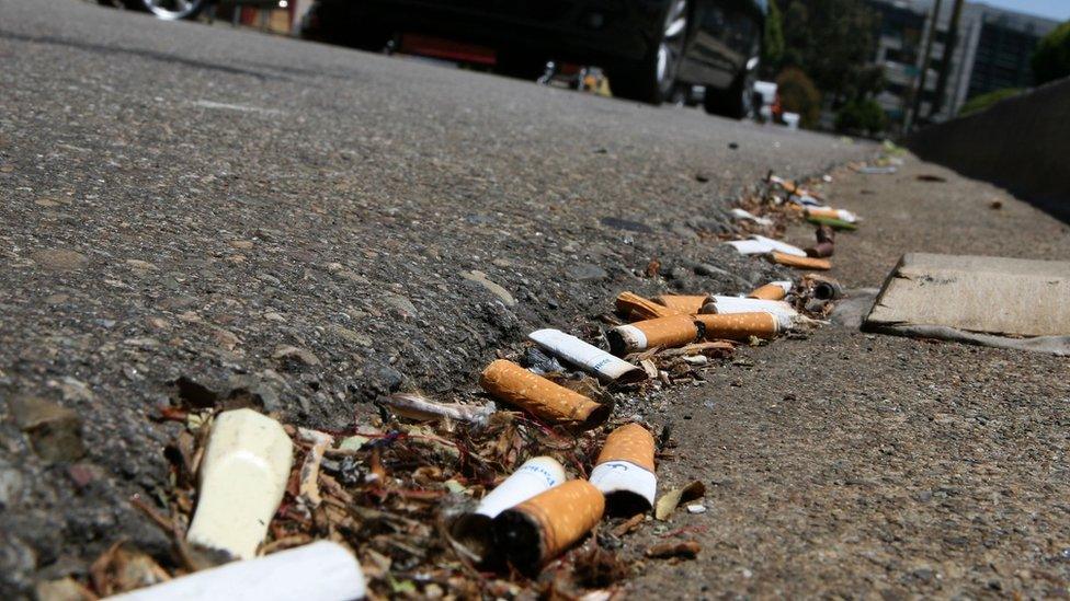 Discarded cigarettes in the street