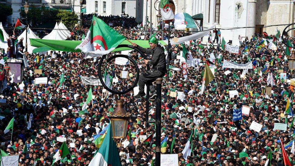 An Algerian protester sits atop a light pole as protesters gather around him