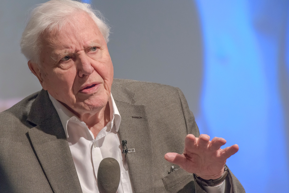 Sir David Attenborough