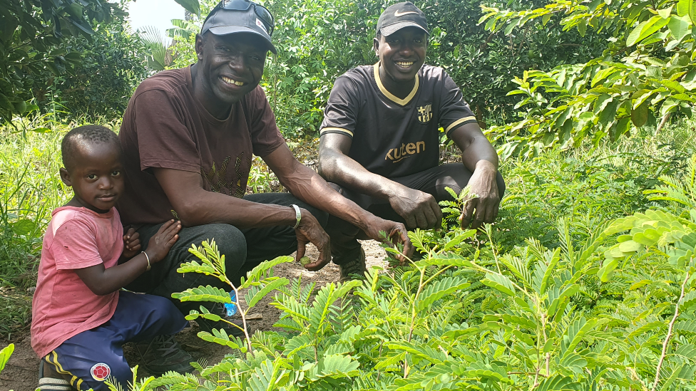 Adama Diémé (C) by some tamarind seedlings