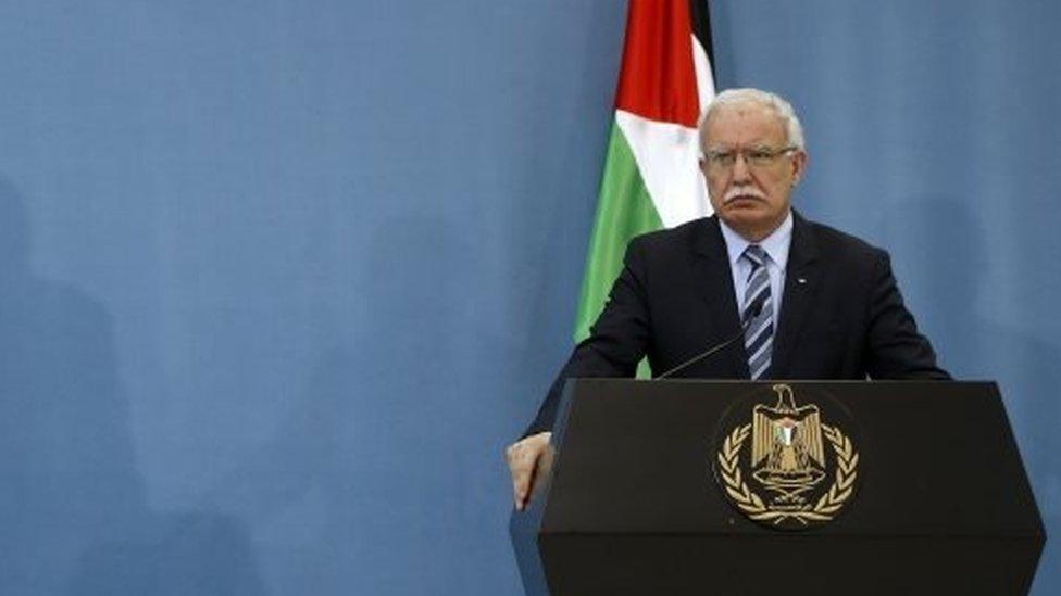 Palestinian Foreign Minister Riad Malki. File photo