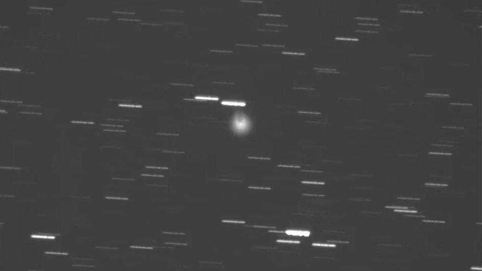 The third day of comet 12P/Pons-Brooks' bright outburst, as imaged by The Virtual Telescope Project from Manciano, Italy.