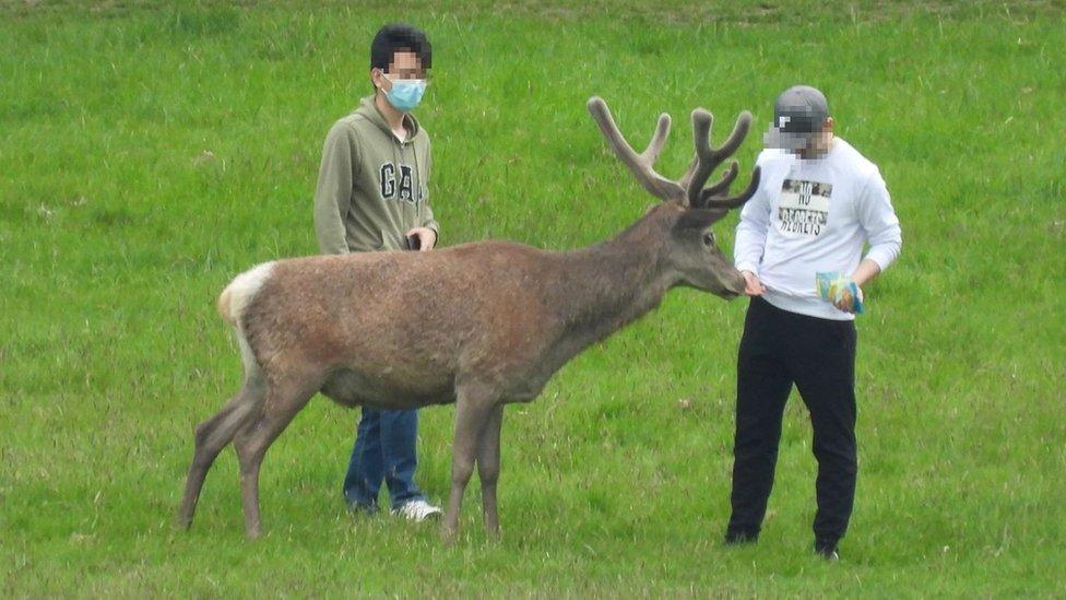 Men with a deer