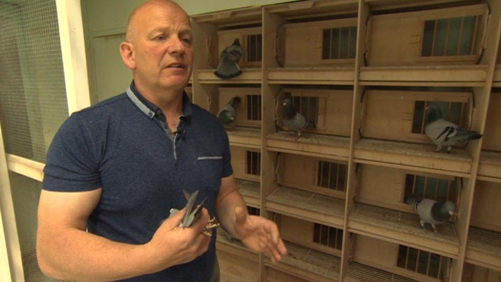 Pigeon fancier Simon Schofield