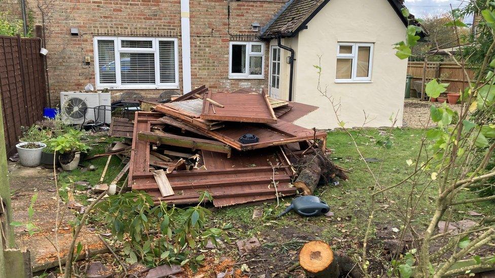 Debris in a garden after a storm