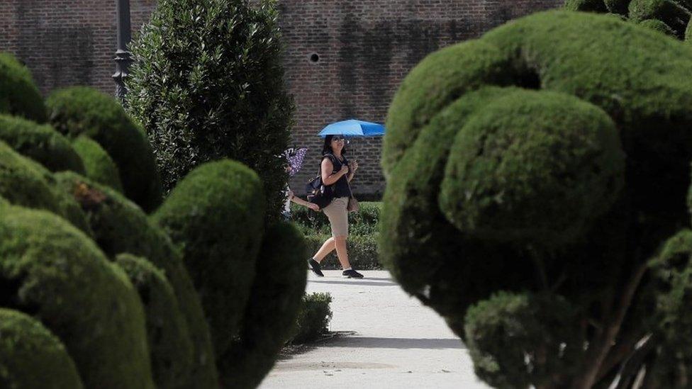 A woman with a parasol visits El Retiro park in Madrid, Spain - 27 June