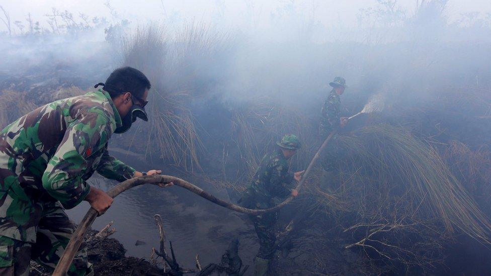 Troops hold a hose spraying water on burning shrubs on the Indonesian island of Sumatra