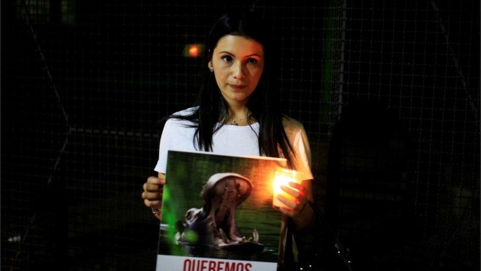 A woman takes part in protest against the death of hippo Gustavito in El Salvador, 27 Feb 2017